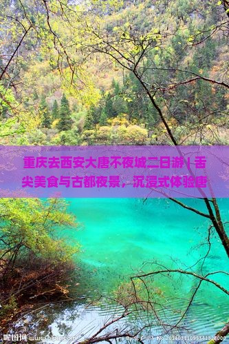 重庆去西安大唐不夜城二日游