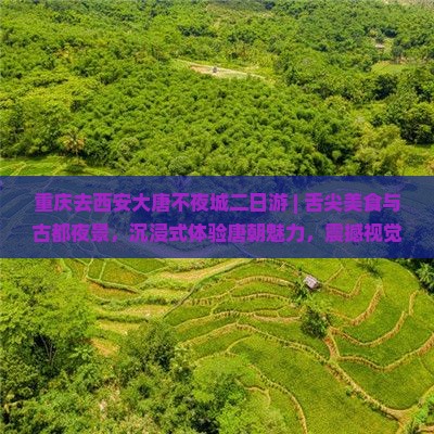重庆去西安大唐不夜城二日游