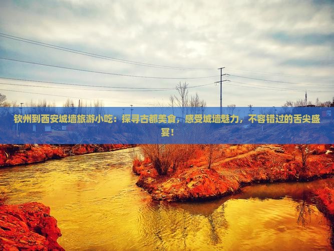 钦州到西安城墙旅游小吃