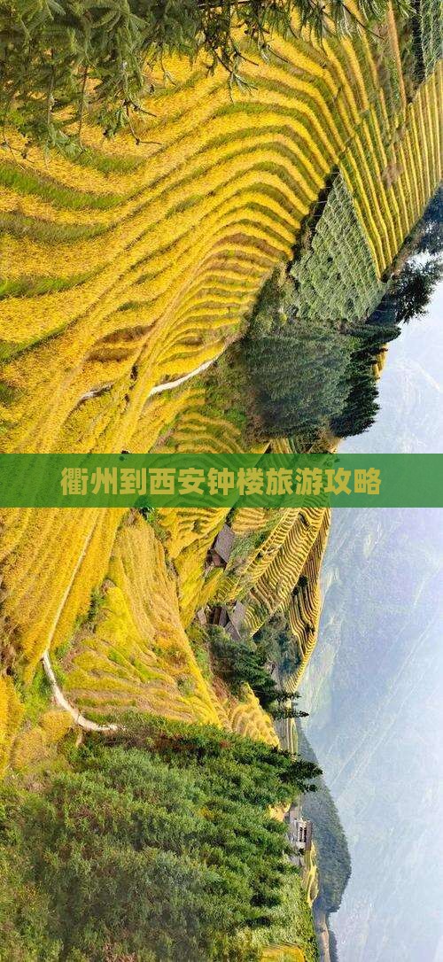 衢州到西安钟楼旅游