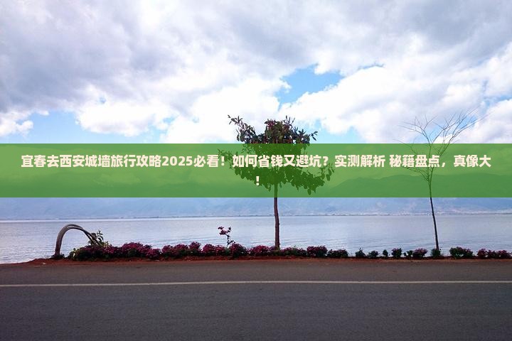 宜春去西安城墙旅行社