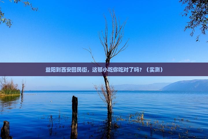 益阳到西安回民街旅游小吃