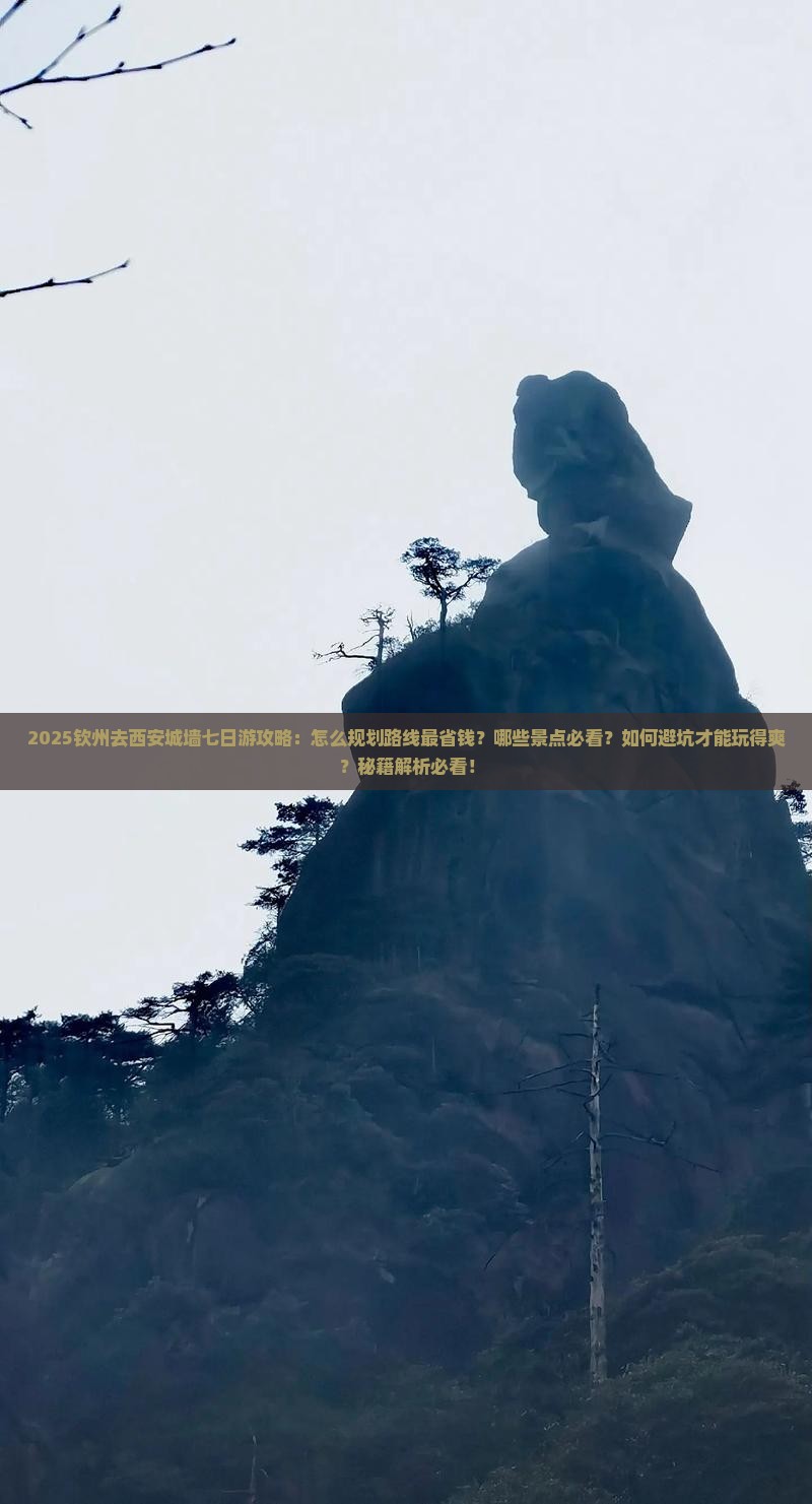 钦州去西安城墙七日游