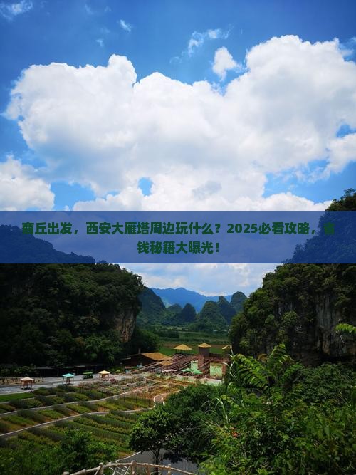 商丘到西安大雁塔哪里玩