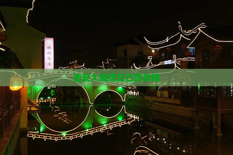 阜新到西安大雁塔五日游