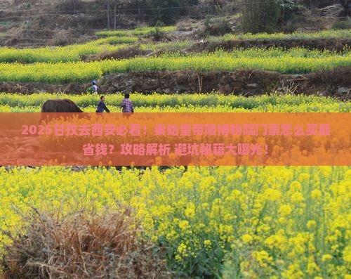 甘孜去西安秦始皇帝陵博物院门票