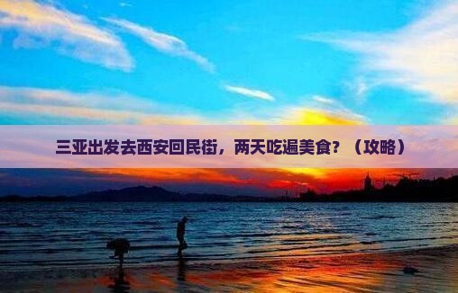 三亚去西安回民街二日游
