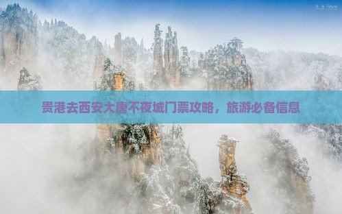 贵港去西安大唐不夜城门票