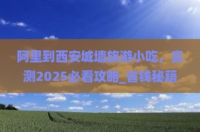 阿里到西安城墙旅游小吃