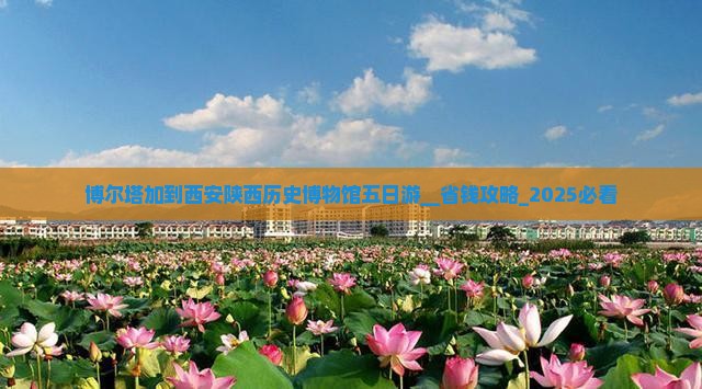博尔塔拉到西安陕西历史博物馆五日游