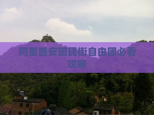 阿里去西安回民街自由团