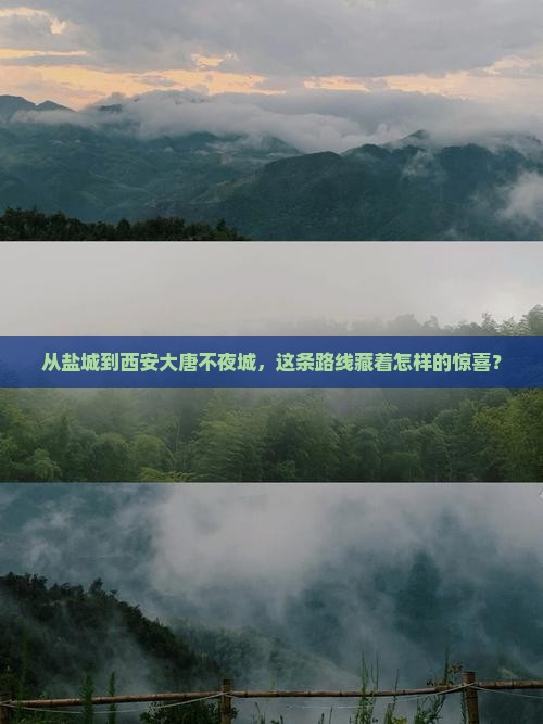 盐城去西安大唐不夜城攻略
