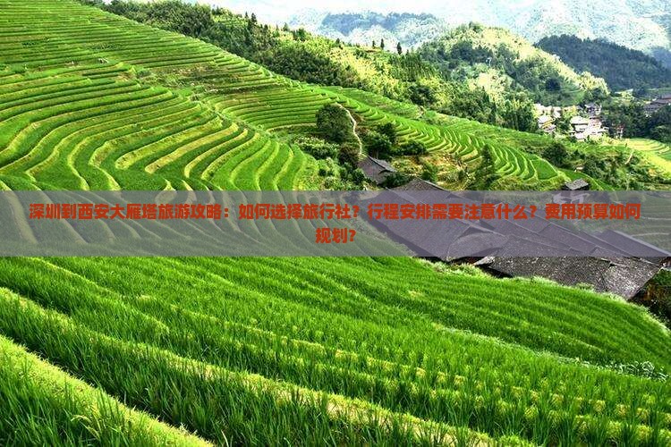 深圳到西安大雁塔旅行社