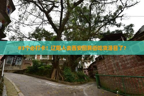 辽阳去西安回民街攻略