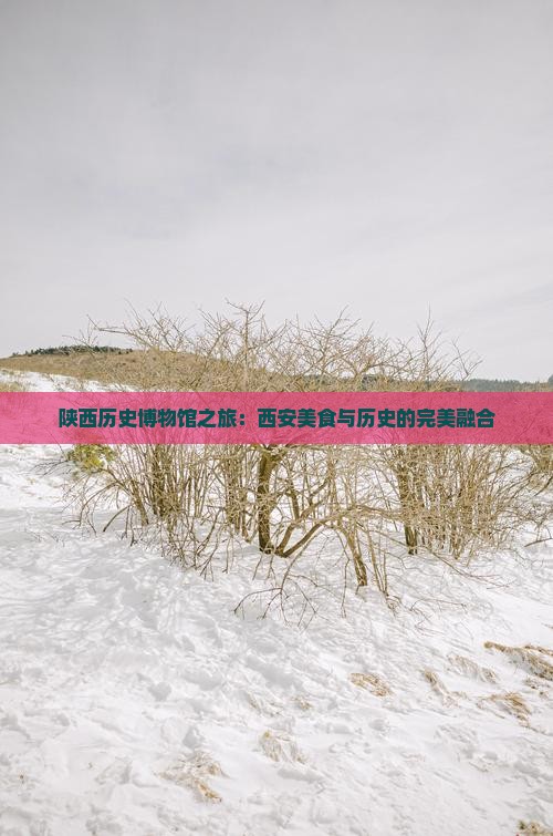 济源到西安陕西历史博物馆旅游小吃