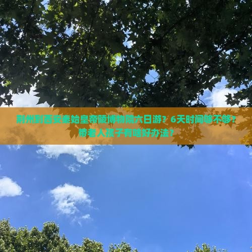 荆州到西安秦始皇帝陵博物院六日游