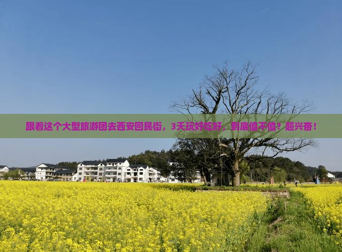 镇江去西安回民街大型旅游团