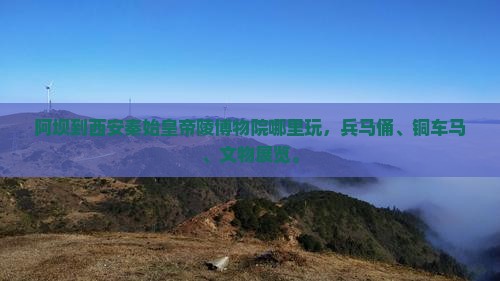 阿坝到西安秦始皇帝陵博物院哪里玩