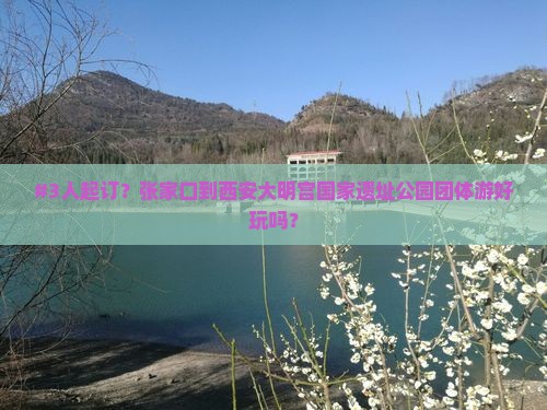 张家口去西安大明宫国家遗址公园团体旅游