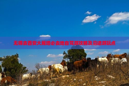 无锡去西安大雁塔必去地 无锡去西安大雁塔必去地