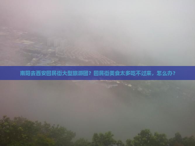 南阳去西安回民街大型旅游团
