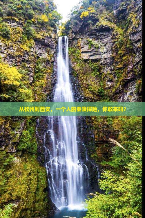钦州去西安秦始皇帝陵博物院自由行