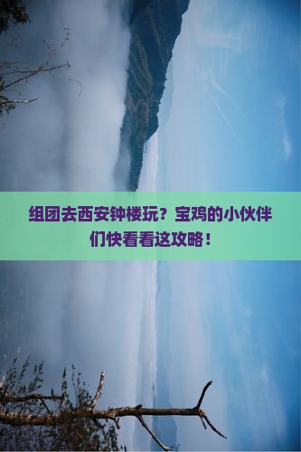 宝鸡到西安钟楼团体旅游