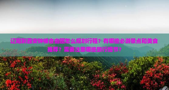 辽阳到西安钟楼自由团