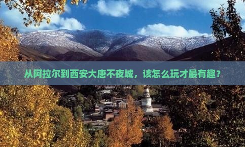阿拉尔去西安大唐不夜城哪里玩