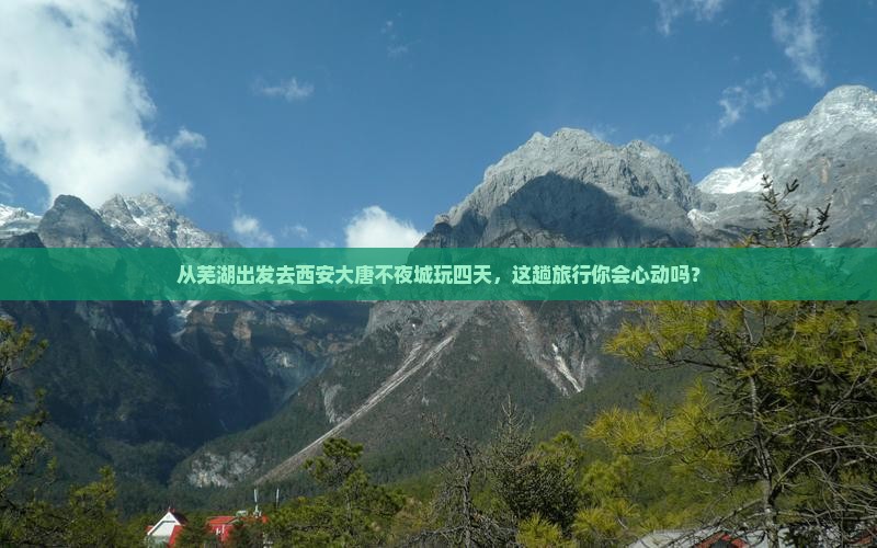 芜湖到西安大唐不夜城四日游