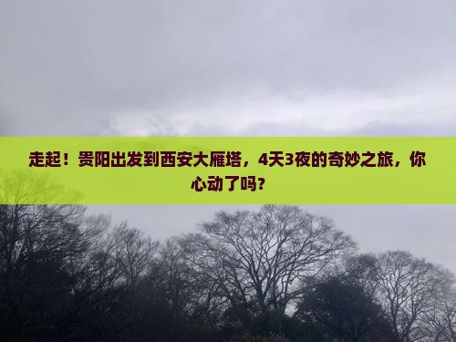 贵阳到西安大雁塔四日游