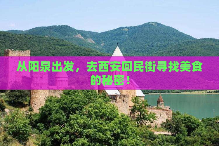阳泉到西安回民街大型旅游团