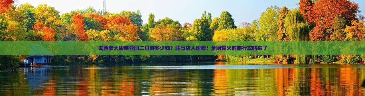 驻马店去西安大唐芙蓉园二日游