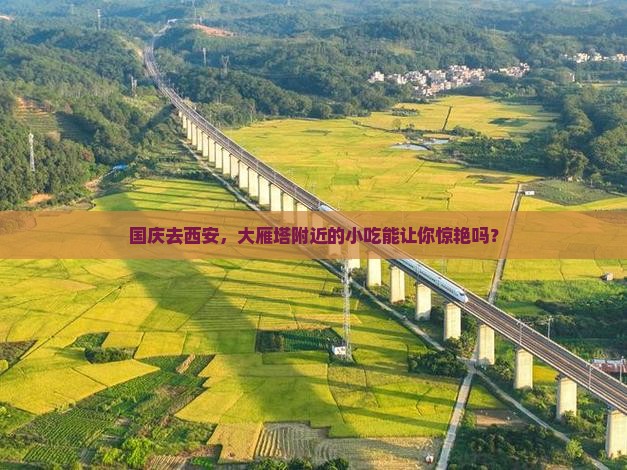 国庆节到西安大雁塔旅游小吃