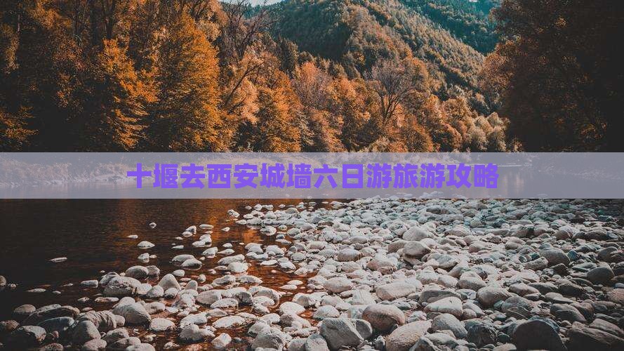 十堰去西安城墙六日游 十堰去西安城墙六日游