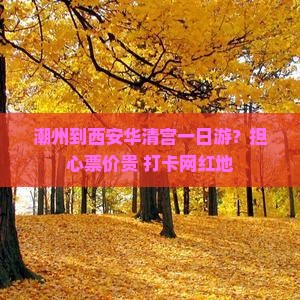 潮州到西安华清宫一日游