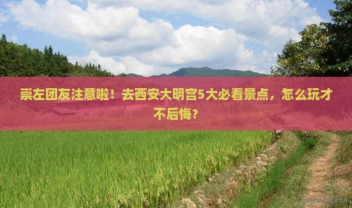 崇左去西安大明宫国家遗址公园团体旅游