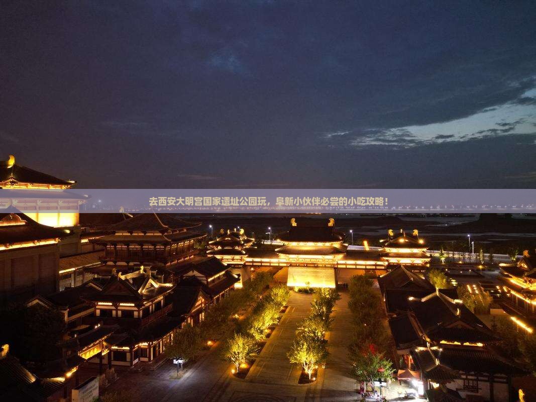 阜新去西安大明宫国家遗址公园旅游小吃