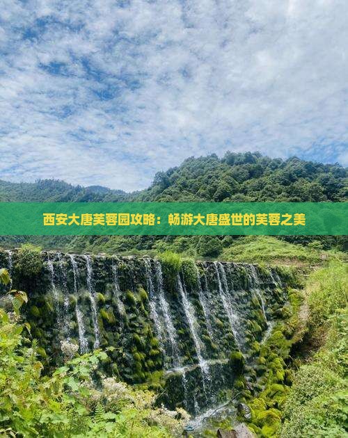 霍邱到西安大唐芙蓉园攻略