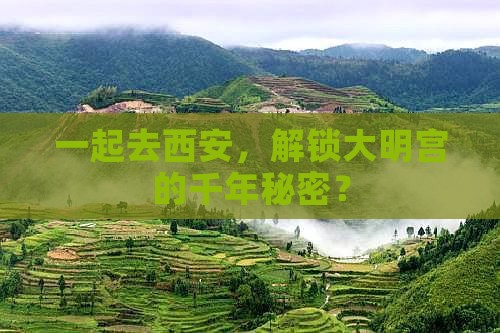 长葛去西安大明宫国家遗址公园团体旅游
