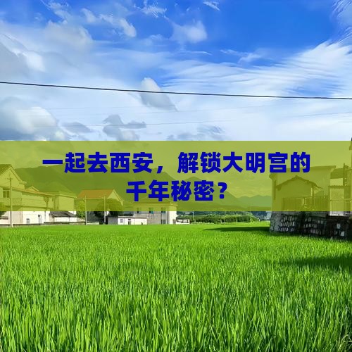 长葛去西安大明宫国家遗址公园团体旅游