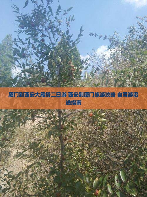 厦门到西安大雁塔二日游