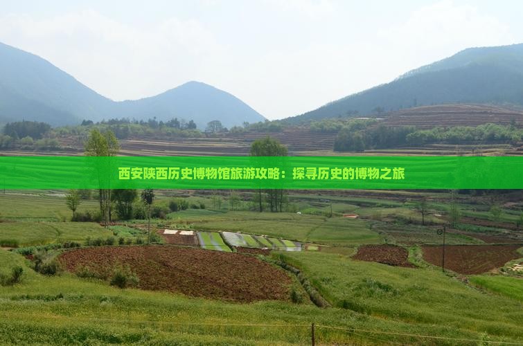海口去西安陕西历史博物馆个人游