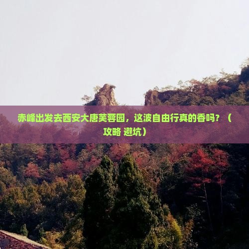 赤峰去西安大唐芙蓉园自由行