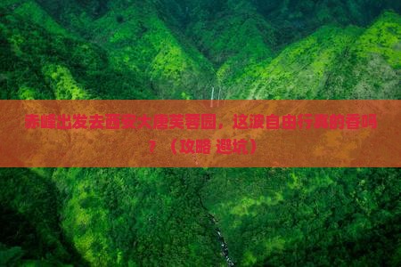 赤峰去西安大唐芙蓉园自由行