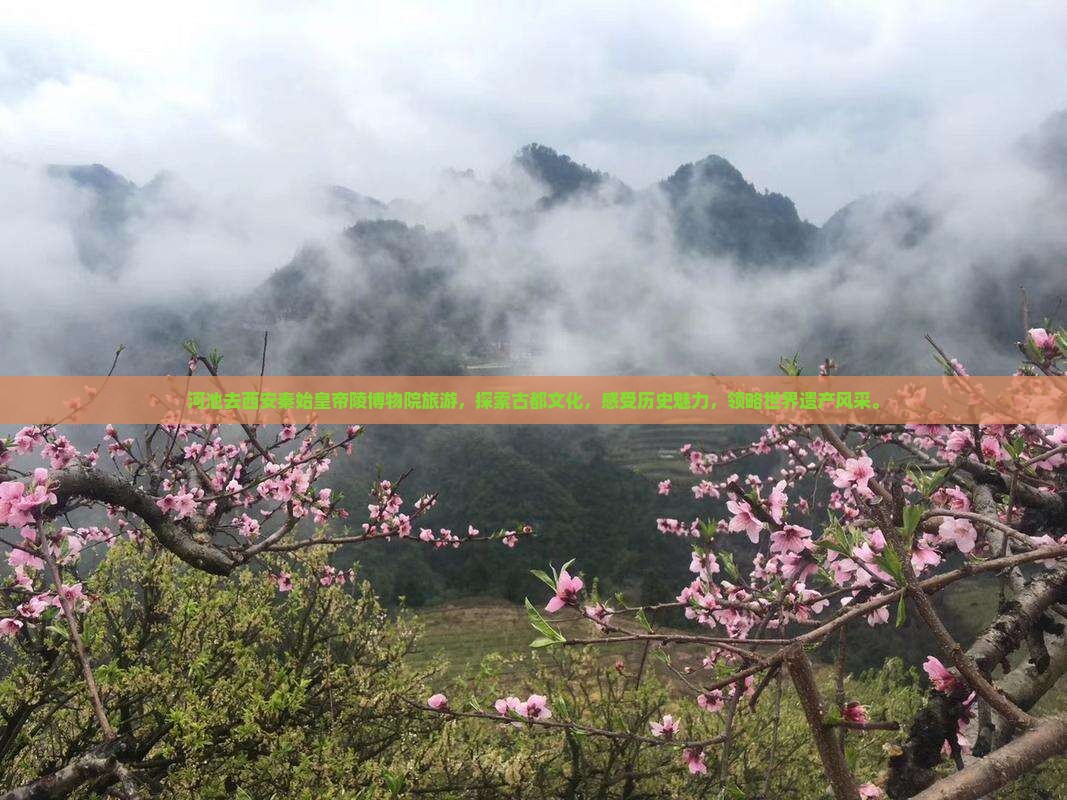 河池去西安秦始皇帝陵博物院旅游
