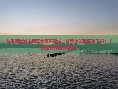 贵港到西安大唐不夜城旅游小吃