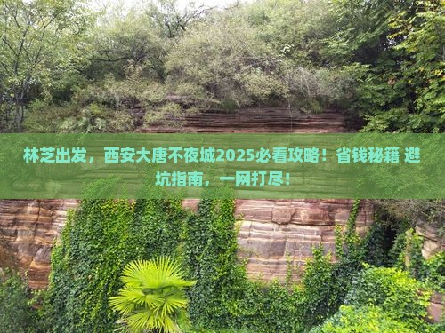 林芝到西安大唐不夜城旅行社