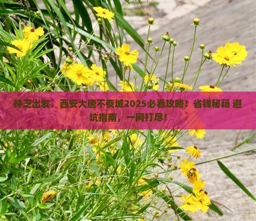 林芝到西安大唐不夜城旅行社