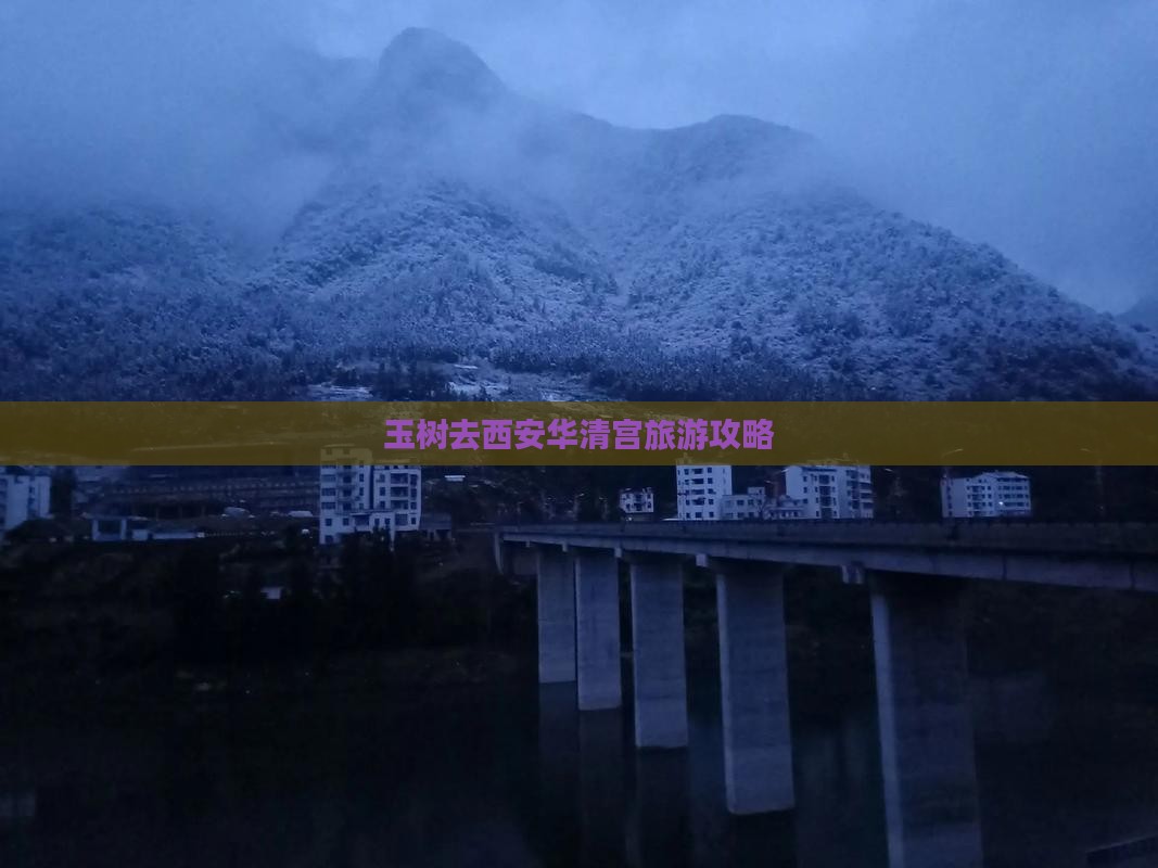玉树去西安华清宫大型旅游团